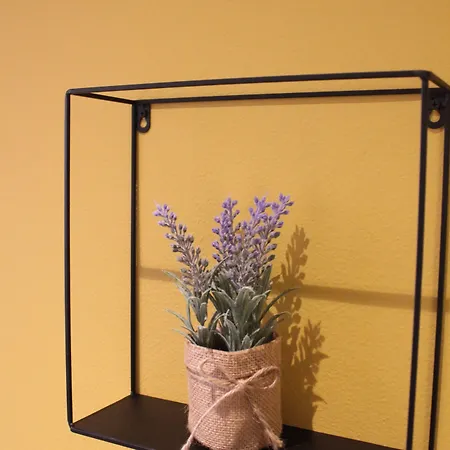 Elizabeta Банджоле